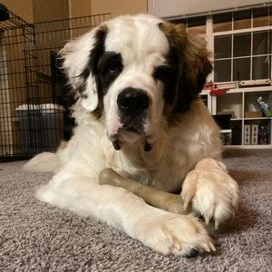 Meet your Posher, Shengyen